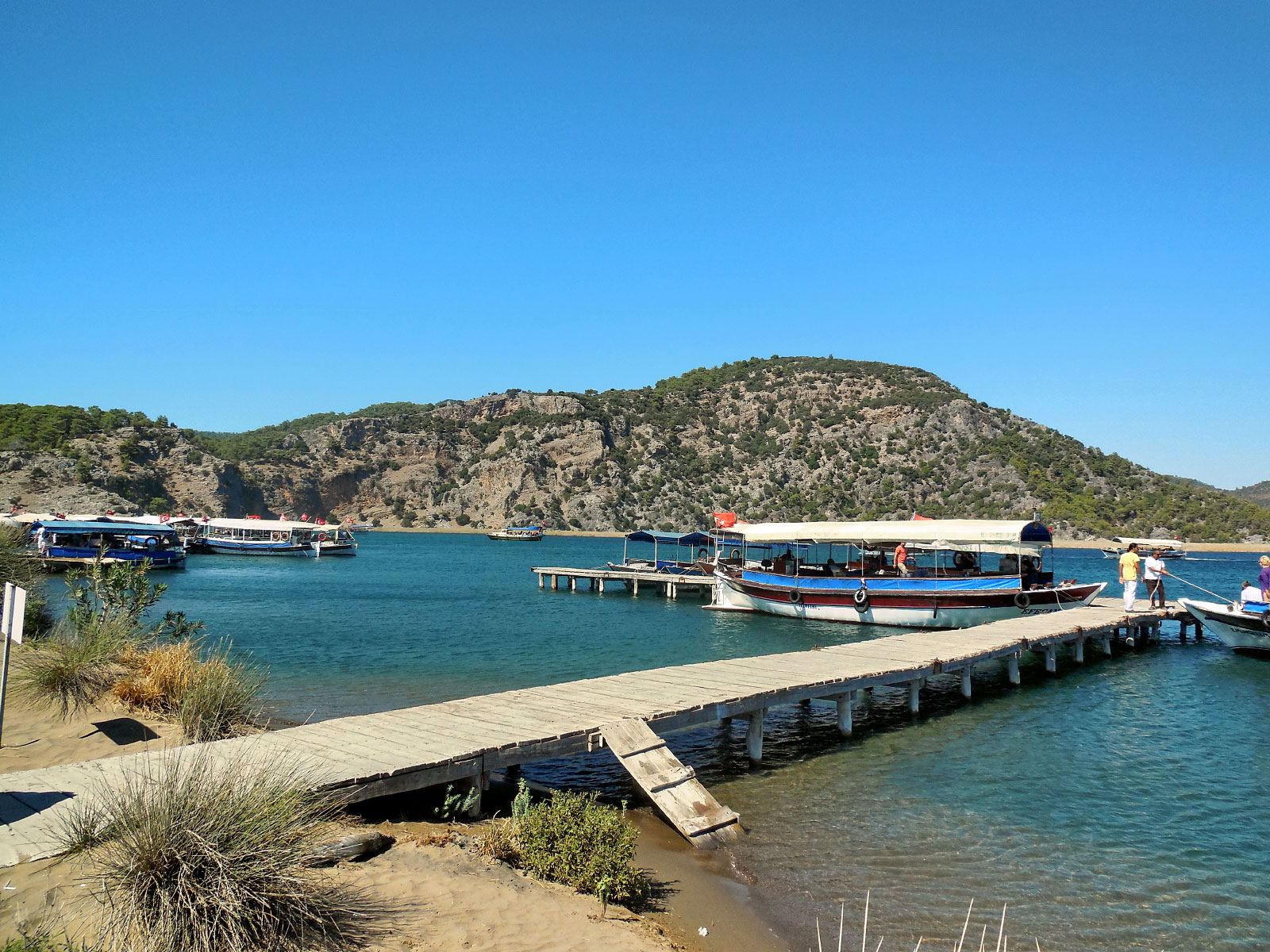 Ortaca